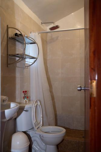a bathroom with a toilet and a sink and a shower at Casa de Ollanta ByB in Ollantaytambo