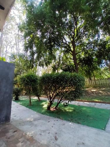 a garden with trees and a green lawn at BaanPhong Lanta in Ko Lanta