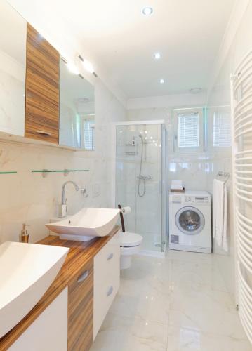 a bathroom with a sink and a washing machine at ApartHotel Vila Minka in Ljubljana