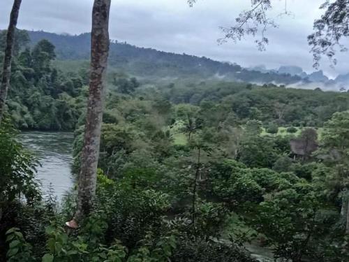 uma vista para um rio a partir de uma selva com árvores em ภูริรักษ์ โฮมสเตย์ em Ban Pha Saeng Lang