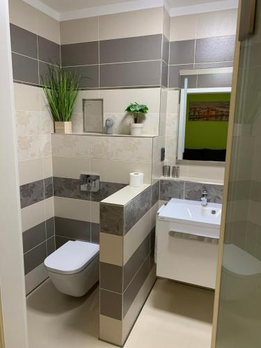 a bathroom with a toilet and a sink at Wellness & Spa Apartments Lipno - Frymburk in Frymburk