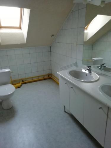 une salle de bain avec un lavabo et des toilettes dans l'établissement gîte les bois georges, à Bossus-lès-Rumigny