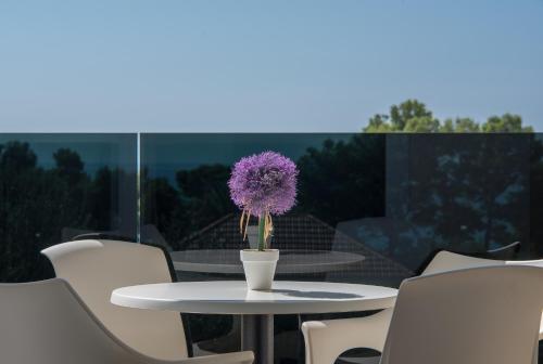 Promajna Leone Erceg Apartments