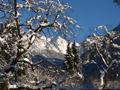 Apartment Turala im Winter