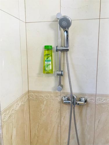 a shower with a blow dryer in a bathroom at CASA LENDEL in Bîrsana