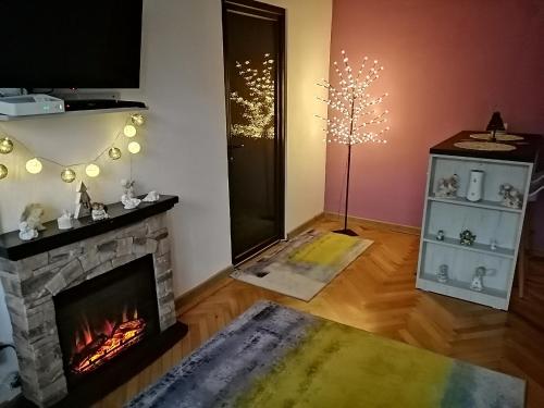a living room with a fireplace and a television at Angel House Central Aparament in Petroşani