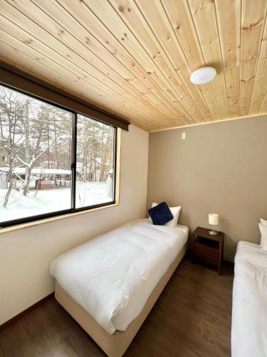 Hakuba Snow Rabbit