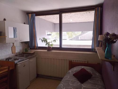 a small kitchen with a sink and a window at Cap Dauphiné in Grenoble