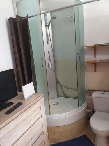une salle de bain avec douche et toilettes dans l'établissement Cap Dauphiné, à Grenoble