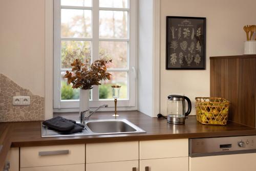 a kitchen counter with a sink and a window at ErholungNOW in Bispingen