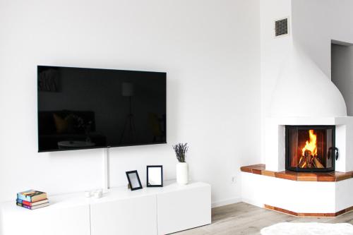 a living room with a fireplace and a flat screen tv at Panorama Schwarzenberg in Schwarzenberg