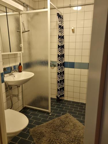 a bathroom with a shower and a sink and a toilet at Welcoming single room in the city center in Gothenburg