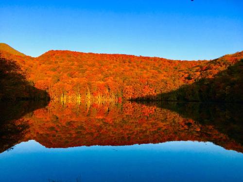 a view of a lake in the middle of a forest at Tsuta Onsen Ryokan in Towada