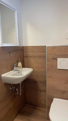 a bathroom with a sink and a toilet at Haus Piller in Bad Hofgastein