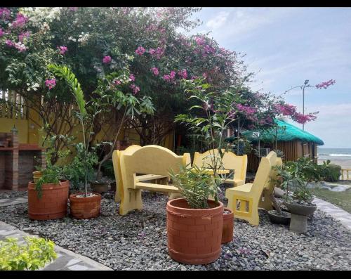 een groep stoelen en planten in een tuin bij Sea Breeze Beachfront Home and Cottages in San Juan