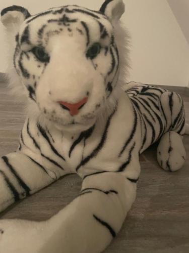 a stuffed tiger is laying on a table at Le Familiale climatisé & Wi-fi in Paroy-sur-Tholon