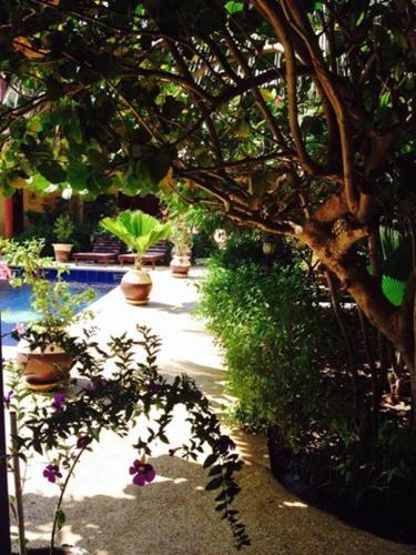 a garden with many potted plants and a tree at Maison Couleur Passion in Nianing