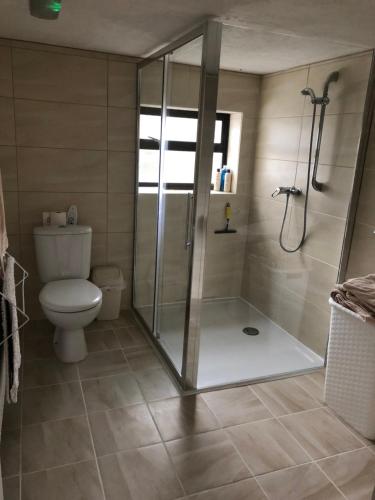 La salle de bains est pourvue d'une douche et de toilettes. dans l'établissement Brentor Self-catering, à Brentor