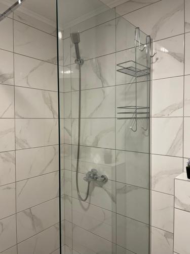 Un baño con ducha con puerta de cristal en Alexandar13, en Belgrado
