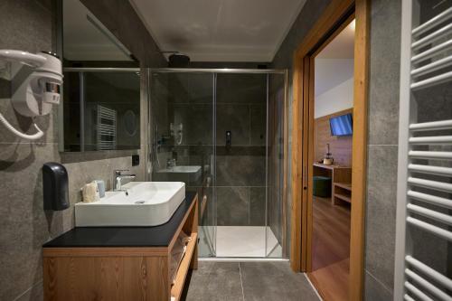 La salle de bains est pourvue d'un lavabo et d'une douche. dans l'établissement Hotel Rio, à Caderzone Terme