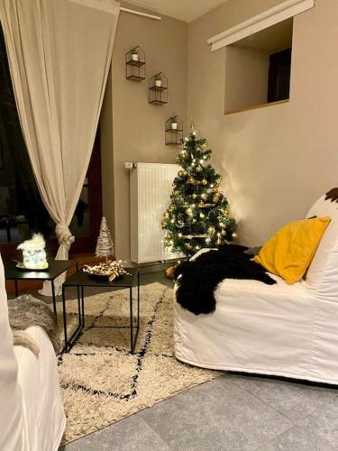 a living room with a christmas tree and a couch at Le Rêve in La Roche-en-Ardenne