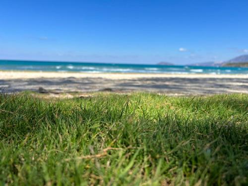 a patch of grass on a beach with the ocean in the background at Almira sea view Appartment in Istro