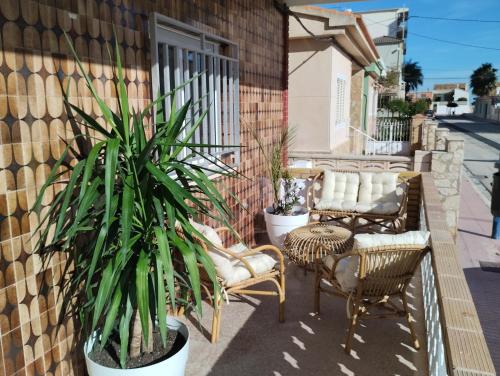 eine Terrasse mit Stühlen und einer Pflanze auf einem Gebäude in der Unterkunft Piles Playa Beach Apartment in Piles