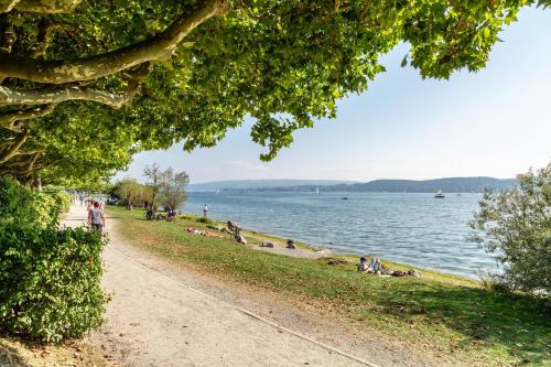 a group of people sitting on the grass by the water at Radolfzell Bodensee in Radolfzell am Bodensee