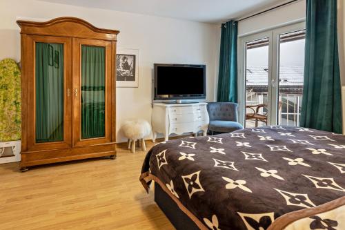 um quarto com uma cama, uma televisão e uma varanda em Radolfzell Bodensee em Radolfzell am Bodensee