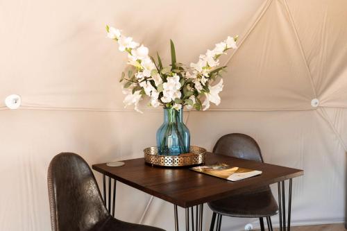 Chiddingstone的住宿－Luna Domes，一张桌子上的花瓶,有两把椅子