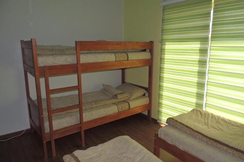 Двухъярусная кровать или двухъярусные кровати в номере Hostel Villa Popović