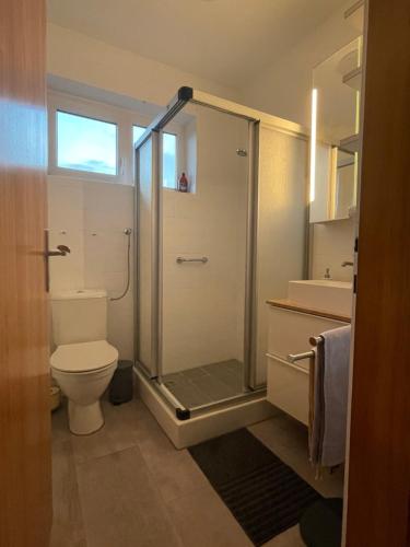 a bathroom with a shower with a toilet and a sink at Ferienwohnung Eva in Mureck
