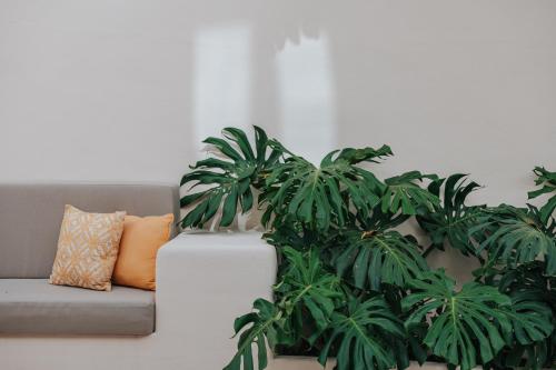 a couch with two plants in a living room at PALAZZO FRANGIPANE in Salve