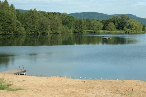 a view of a lake with a dock and trees at Tiny House Ithblick direkt am See in Salzhemmendorf