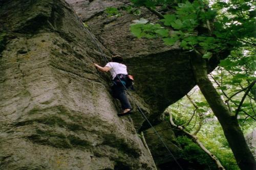 a person climbing on a large rock in the forest at Tiny House Ithblick direkt am See in Salzhemmendorf
