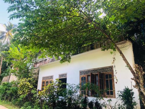 Zahrada ubytování Thaaaru Villa