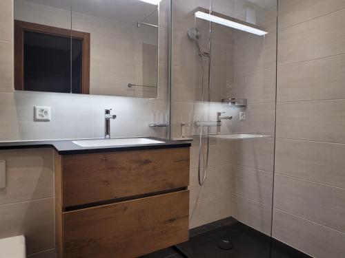 ヴェゾナにあるApartment App- 20A Ramuge by Interhomeのバスルーム(シンク、シャワー付)