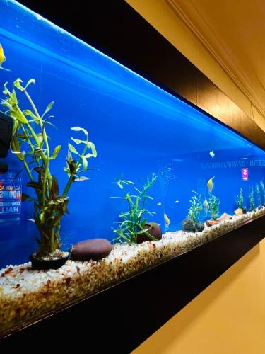Gallery image of MADAPARAMBIL RESIDENCY in Alwaye