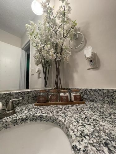 Game House ATL – Photos 2