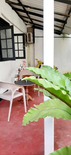 Hiriketiya Beach Gardan – Photos 3