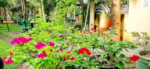 Hiriketiya Beach Gardan – Photos 2