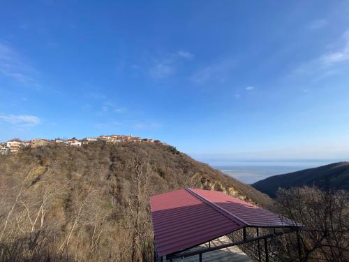 a building on the side of a mountain at Lia's Guest House in Sighnaghi