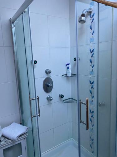 baño con ducha y puerta de cristal en Stunning hideaway on the Wild Atlantic Way, en Knocknaud