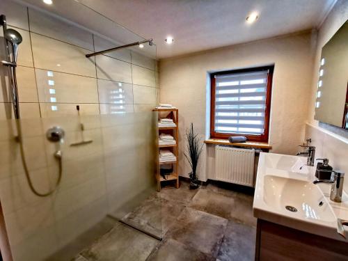 ein Bad mit einer Dusche und einem Waschbecken in der Unterkunft Apartment Bergblick, 3 Schlafzimmer, 2 Badezimmer in Kirchberg in Tirol