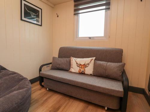 Hillcrest Shepherds Hut – Photos 5