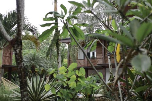 a house in the midst of trees and plants at Outsite Coliving Santa Teresa Playa in Santa Teresa Beach