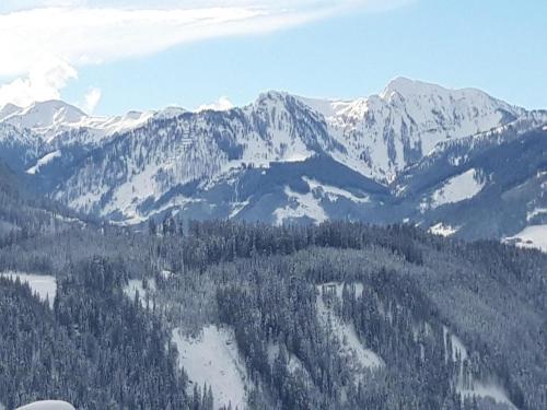 an aerial view of a mountain range with snow covered mountains at Haus Durchegg OG in Wagrain