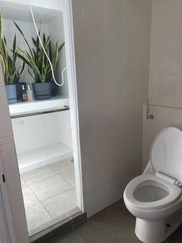 a bathroom with a toilet and a plant at Papaya Condo Acapulco Diamante -Solo Adultos in Acapulco