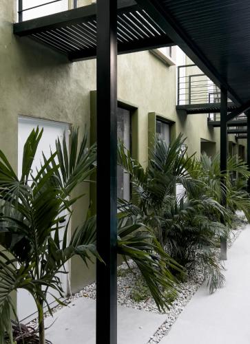 a group of plants in front of a building at OASIS TROPICAL HOTEL in Santa Marta