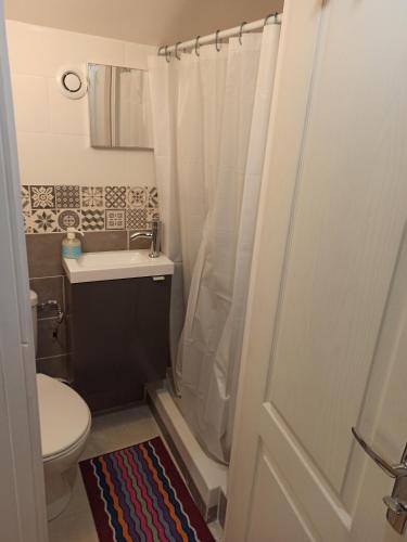 ein Badezimmer mit Dusche, Toilette und Waschbecken in der Unterkunft La tranquillité in Vaujours